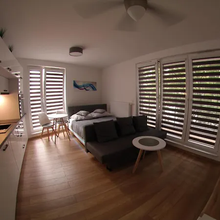 Olit Bajeczna * 克拉科夫